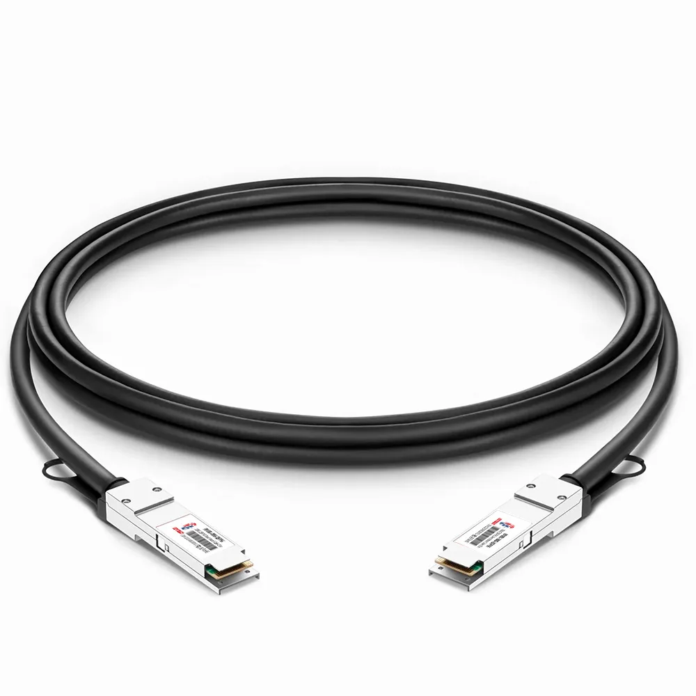200G QSFP56 이더넷 패시브 직접 연결 구리 Twinax 케이블