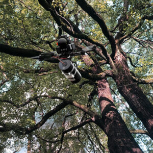 Fiber Optic Drone Cables Snag on Trees
