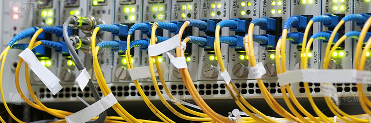 Excessive-Length Ethernet Patch Cords